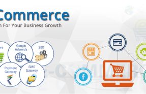 Modern Ecommerce Website Design and Development